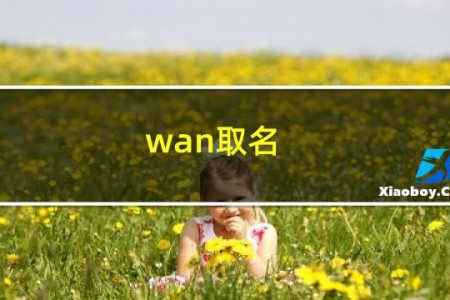 wan取名
